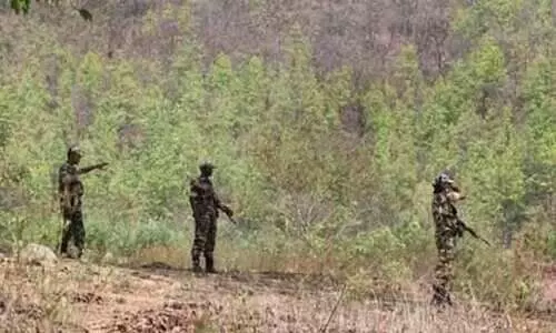 Maiosts kill BJP leader, 8th in Chhattisgarh since last year