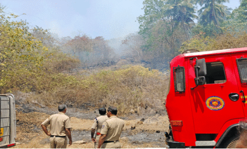 കക്കയം വനത്തിൽ തീപിടിത്തം; അഞ്ച് ഏക്കറോളം കത്തിനശിച്ചു കക്കയം വനത്തിൽ തീപിടിത്തം; അഞ്ച് ഏക്കറോളം കത്തിനശിച്ചു