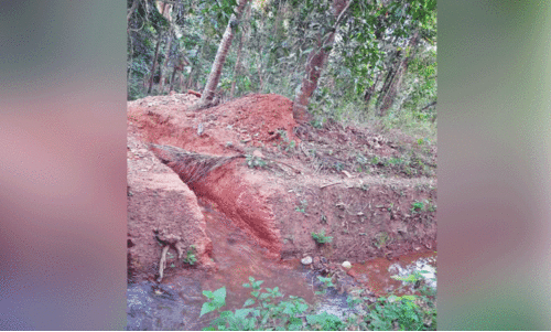 ക​നാ​ൽ ത​ക​ർ​ത്ത് വെ​ള്ള​മൊ​ഴു​ക്കി; വ​ൻ കൃ​ഷി​നാ​ശം