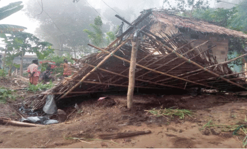 കാ​ട്ടാ​ന വീ​ടു​ക​ൾ ത​ക​ർ​ത്തു