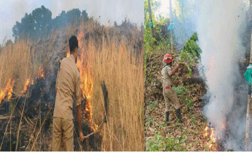 വെള്ളാണിക്കൽ പാറയിലും റബർതോട്ടത്തിലും തീപിടിത്തം