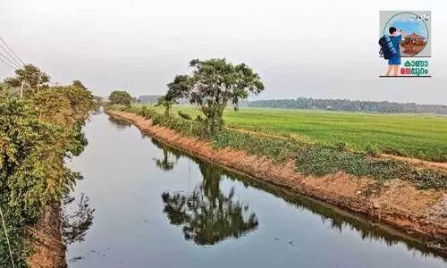 നൂ​റ​ടി തോ​ട്