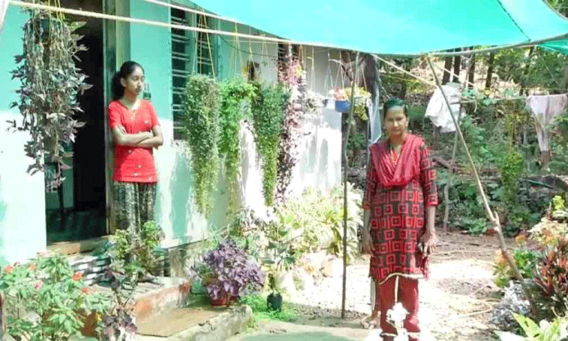 കാട്ടാന ഭീതി; കൃഷിയിടങ്ങളിലിറങ്ങാൻ കഴിയുന്നില്ല;   തൊട്ടിപ്പാലത്ത് കുടുംബങ്ങൾ പലായനം തുടങ്ങി