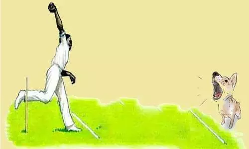 ലൈവ് സ്ട്രീം