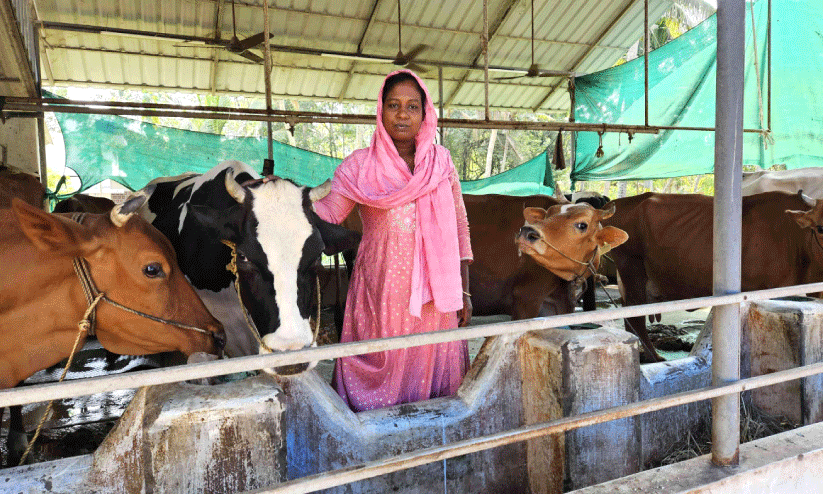 aneesha with cows in farm