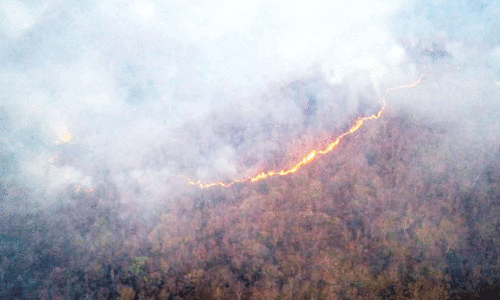 ബി.​ആ​ർ.​ടി ഹി​ൽ​സി​ൽ കാ​ട്ടു​തീ