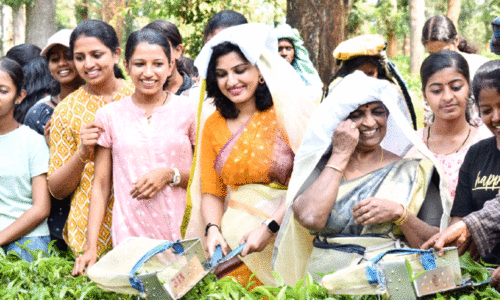 collector inaugrates penperuma program