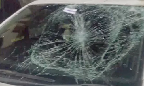 മൂന്നാറിൽ പടയപ്പ വിനോദസഞ്ചാരികളുടെ കാർ തകർത്തു