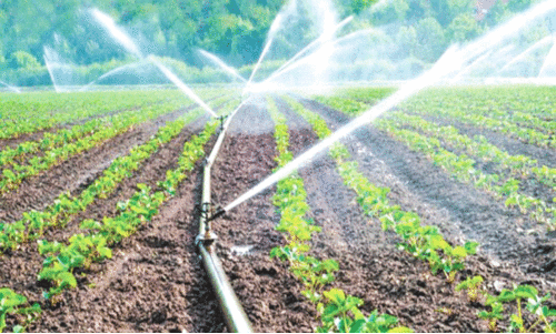 കമ്യൂണിറ്റി മൈക്രോ ഇറിഗേഷന്‍ പദ്ധതിക്ക് തുടക്കം