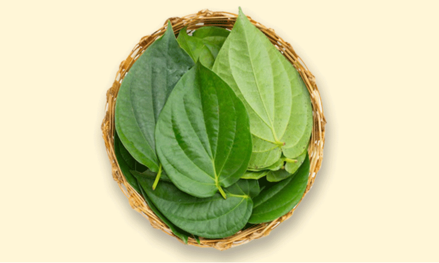 വില ഇടിഞ്ഞ് വെറ്റില; കൃഷി ഉപേക്ഷിച്ച് കര്‍ഷകര്‍