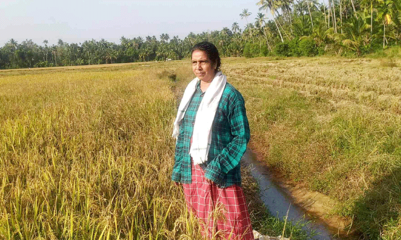 lalitha at field