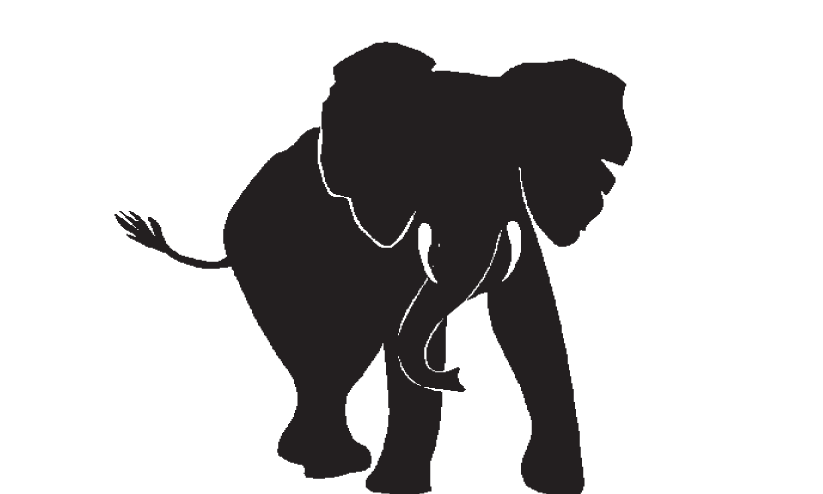 വന്യജീവി ശല്യം; വിനോദസഞ്ചാര കേന്ദ്രങ്ങളിൽ യാത്ര നിയന്ത്രണത്തിനെതിരെ പ്രതിഷേധം