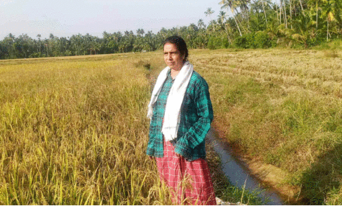lalitha at field