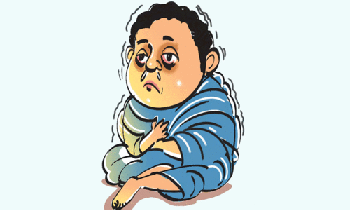 ഡെങ്കി റിപ്പോർട്ട്​ ചെയ്തു;  ജലജന്യ-പകർച്ചവ്യാധി  ഭീഷണിയിൽ പ​ത്ത​നം​തി​ട്ട