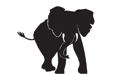 വന്യജീവി ശല്യം; വിനോദസഞ്ചാര കേന്ദ്രങ്ങളിൽ യാത്ര നിയന്ത്രണത്തിനെതിരെ പ്രതിഷേധം