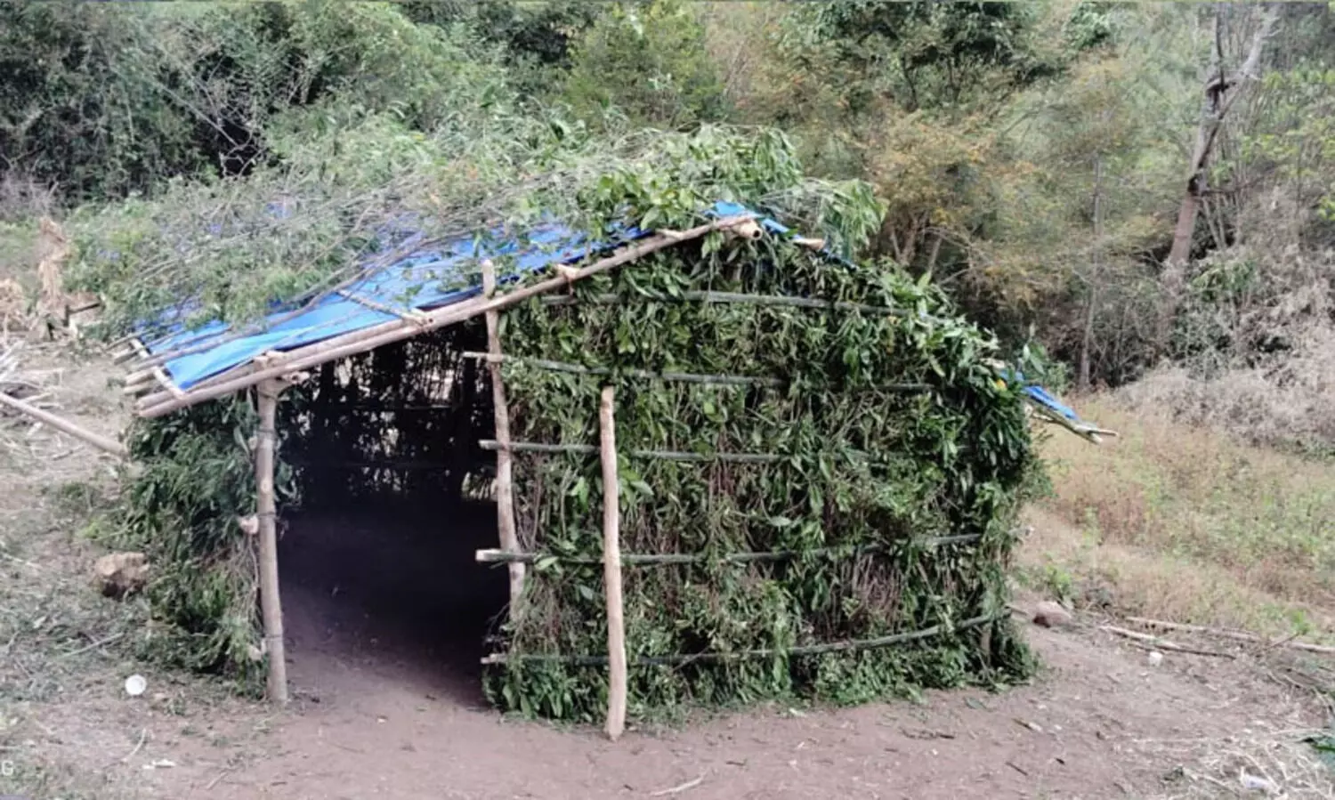 അട്ടപ്പാടിയിലെ ഭൂമി കൈയേറ്റം: കുലുക്കൂരിലെ ആദിവാസി കുടുംബം അഗളി ഡി.വൈ.എസ്.പിക്ക് പരാതി നൽകി