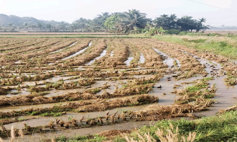 ജ​ല​ചോ​ർ​ച്ച  ത​ട​യാ​ൻ ന​ട​പ​ടി​യി​ല്ല