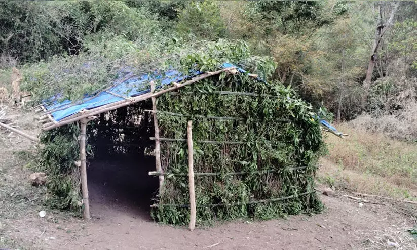 അട്ടപ്പാടിയിലെ ഭൂമി കൈയേറ്റം: കുലുക്കൂരിലെ ആദിവാസി കുടുംബം അഗളി ഡി.വൈ.എസ്.പിക്ക് പരാതി നൽകി