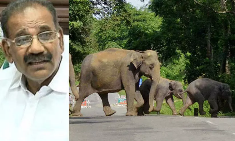 വന്യമൃഗശല്യം; അന്തർ സംസ്ഥാന സഹകരണ ചാർട്ടറിൽ കേരളവും കർണാടകവും ഒപ്പിട്ടു വന്യമൃഗശല്യം; അന്തർ സംസ്ഥാന സഹകരണ ചാർട്ടറിൽ കേരളവും കർണാടകവും ഒപ്പിട്ടു