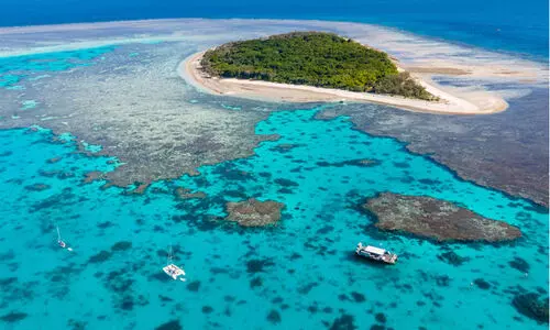 ‘കോ​റ​ൽ ബ്ലീ​ച്ചി​ങ്’; ഗ്രേ​റ്റ് ബാ​രി​യ​ർ റീ​ഫി​ന് വീ​ണ്ടും ഭീ​ഷ​ണി