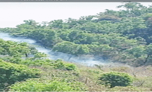 തീപിടിത്ത ഭീതിയിൽ മലയോര ഗ്രാമങ്ങൾ