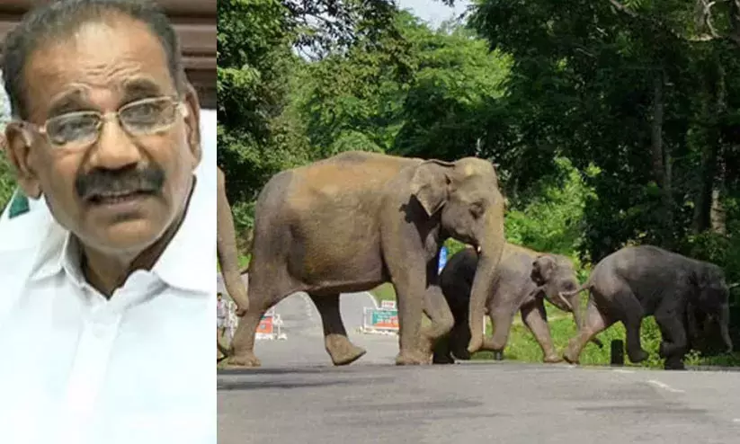 വന്യമൃഗശല്യം; അന്തർ സംസ്ഥാന സഹകരണ ചാർട്ടറിൽ കേരളവും കർണാടകവും ഒപ്പിട്ടു വന്യമൃഗശല്യം; അന്തർ സംസ്ഥാന സഹകരണ ചാർട്ടറിൽ കേരളവും കർണാടകവും ഒപ്പിട്ടു