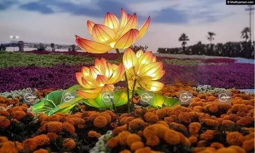 സന്ദർശക പ്രവാഹം; യാംബു പുഷ്പമേള ഏപ്രിൽ 30 വരെ നീട്ടി