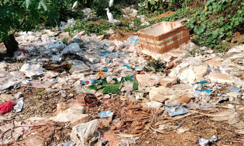 garbage at market garbage at market