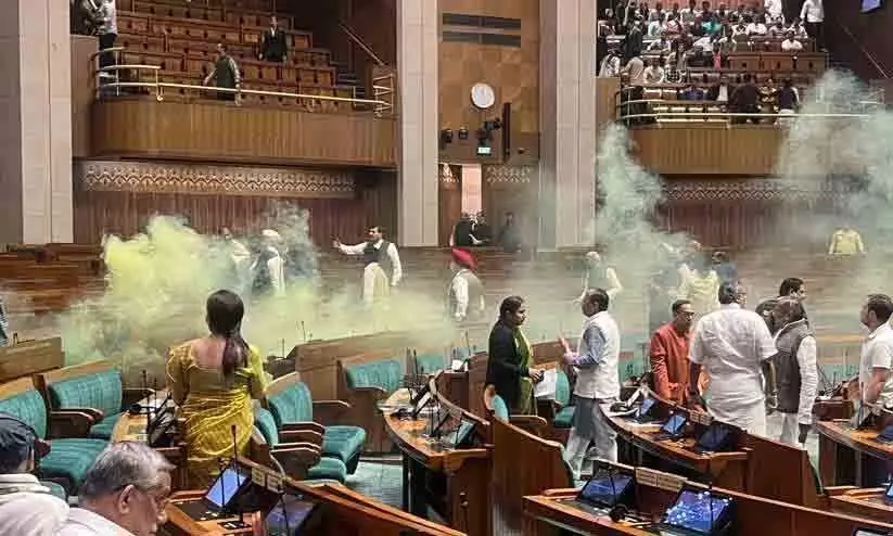 Parliament security breach