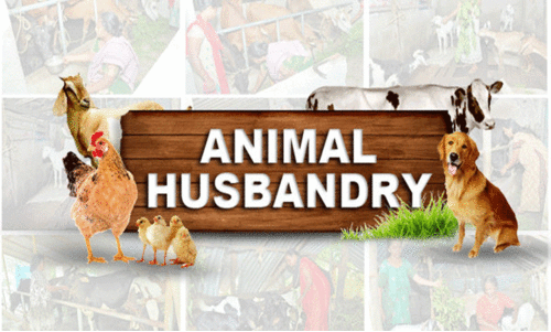 മൃഗസംരക്ഷണവകുപ്പിൽ കരാർ നിയമനം മൃഗസംരക്ഷണവകുപ്പിൽ കരാർ നിയമനം