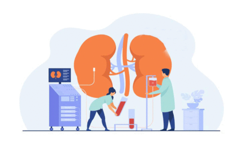 കോ​ട്ട​പ്പ​ടി താ​ലൂ​ക്ക്​ ആ​ശു​പ​ത്രി​ ഡ​യാ​ലി​സി​സ് കേ​ന്ദ്രം; ന​ട​പ​ടി​ക​ൾ ഇ​ഴ​യു​ന്നു