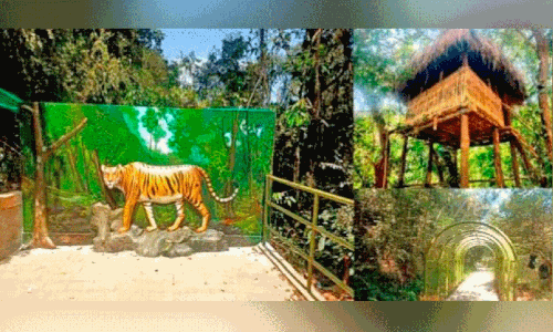 urban forest at mananthavady