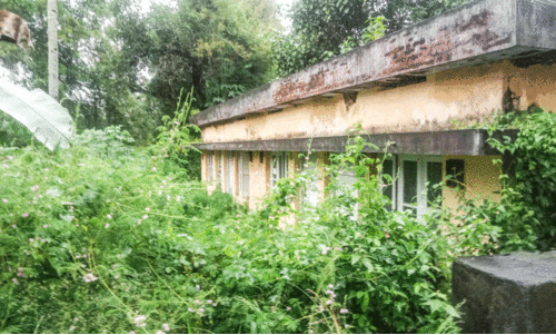 വേണം, ചാരുംമൂട്ടിൽ അഗ്നിരക്ഷ സേന