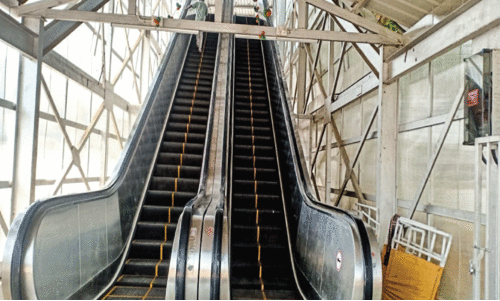 ദി​വ​സ​ങ്ങ​ളു​ടെ ആ​യു​സ്സ്; പാ​തി​യി​ൽ കി​ത​ച്ച് ന​ഗ​ര​ത്തി​ലെ ​യ​ന്ത്ര​പ്പ​ടി