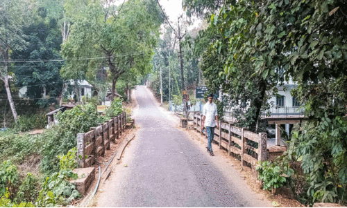 മു​ട്ടം കോ​ട​തിപ്പാ​ലം വീ​തി കൂ​ട്ട​ൽ; ഇടുക്കി ജി​ല്ല പ​ഞ്ചാ​യ​ത്ത്​ 20 ല​ക്ഷം രൂ​പ അ​നു​വ​ദി​ച്ചു