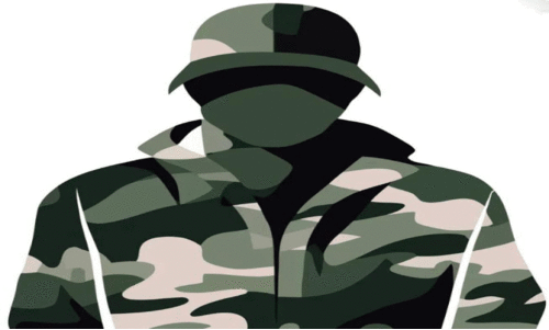 കാട്ടാന സാന്നിധ്യം; വനം വകുപ്പ് പട്രോളിങ് വേണമെന്ന് ആവശ്യം