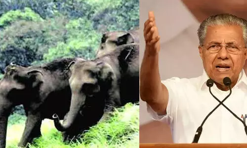 കേന്ദ്ര വന്യജീവി സംരക്ഷണ നിയമത്തില്‍ ഭേദഗതിവേണമെന്ന് മുഖ്യമന്ത്രി