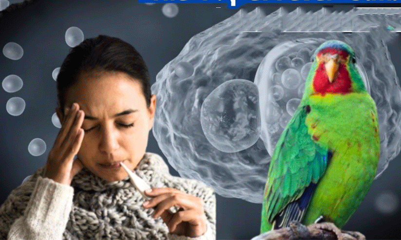 Parrot fever