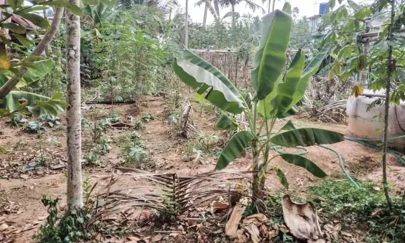 കൃ​ഷി​സ്ഥ​ല​ങ്ങ​ൾ