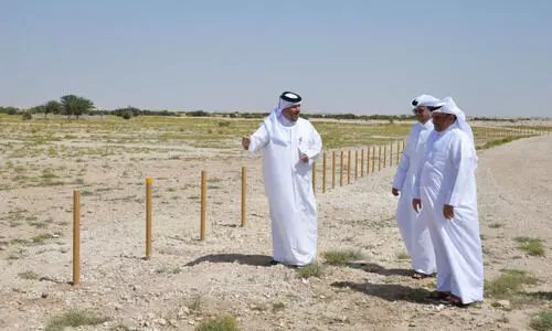 പ​ച്ച​പ്പ​ണി​യാ​ൻ ഖ​ത്ത​ർ  പു​ൽ​മേ​ടു​ക​​ളൊ​രു​ങ്ങു​ന്നു