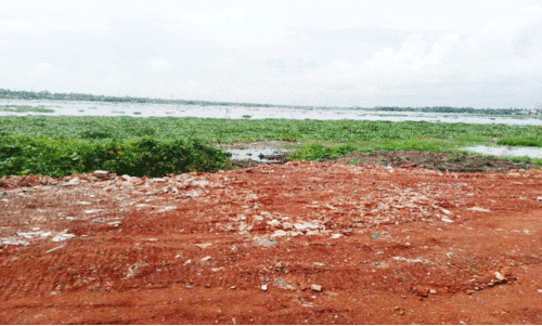 അരൂർ വ്യവസായ കേന്ദ്രത്തിനരികിൽ കായൽ ​ൈക​​​യേറ്റം തുടരുന്നു