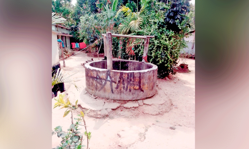 well in arimula palnada colony