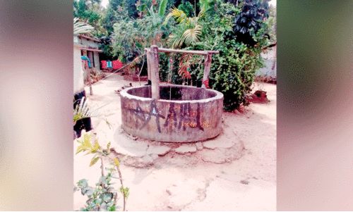 well in arimula palnada colony