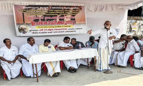 ജനവാസ കേന്ദ്രത്തിൽ പ്ലൈവുഡ് കമ്പനിക്ക് അനുമതി; പ്രതിഷേധവുമായി നാട്ടുകാർ
