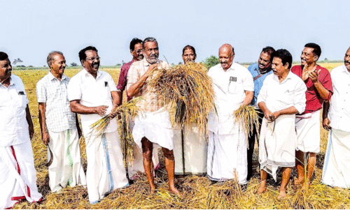 പി.ആര്‍.എസ് വഴി പണം വൈകിയാല്‍ നടപടി -മന്ത്രി പി. പ്രസാദ്