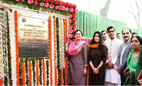 zero waste modern food street