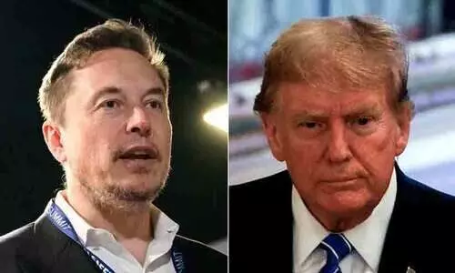 Elon Musk, Donald Trump