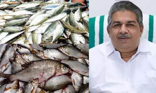 മത്സ്യമേഖലയില്‍ 164.47 കോടി രൂപയുടെ പദ്ധതികള്‍ക്ക് കേന്ദ്രാനുമതി