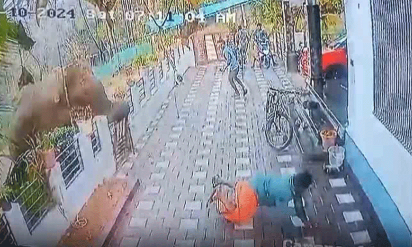 കാടുപേക്ഷിക്കുന്ന മൃഗങ്ങൾ