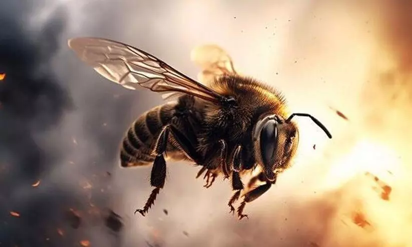 bee attackk